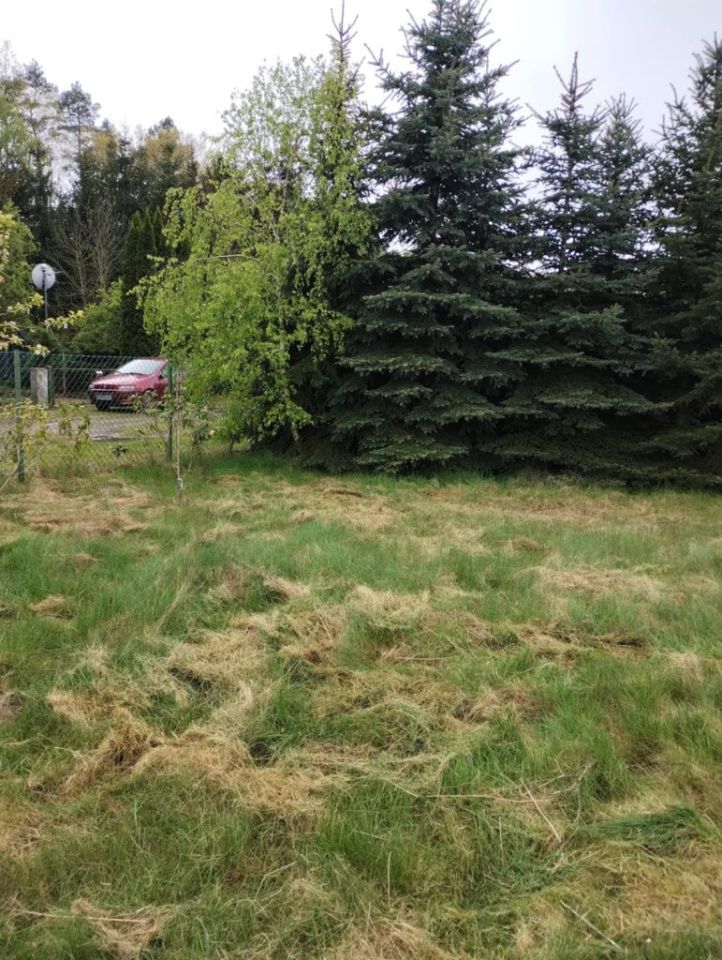 Działka budowlana Stare. Zdjęcie 3