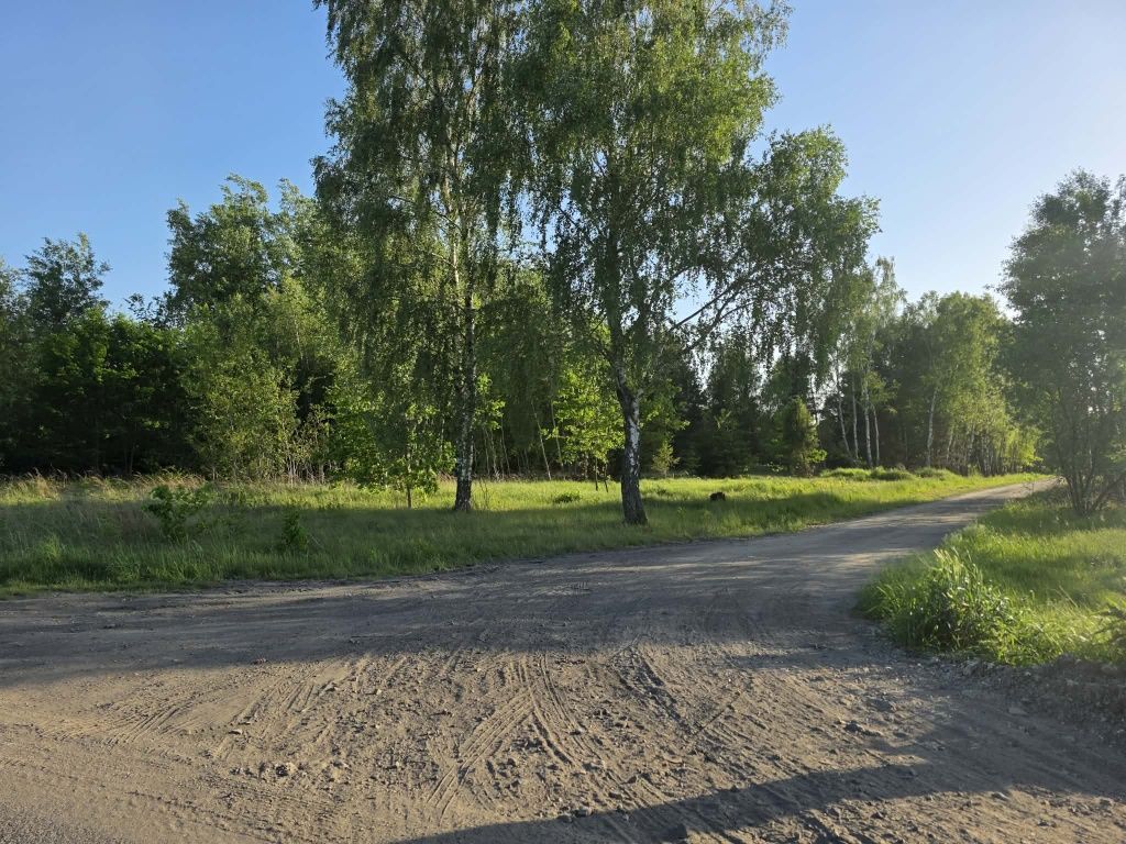 Działka siedliskowa Koniecpol, ul. Górna. Zdjęcie 1