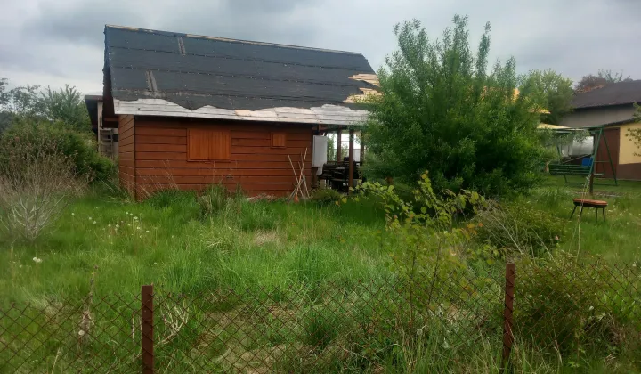 Działka rod Piotrków Trybunalski Belzatka, ul. Belzacka
