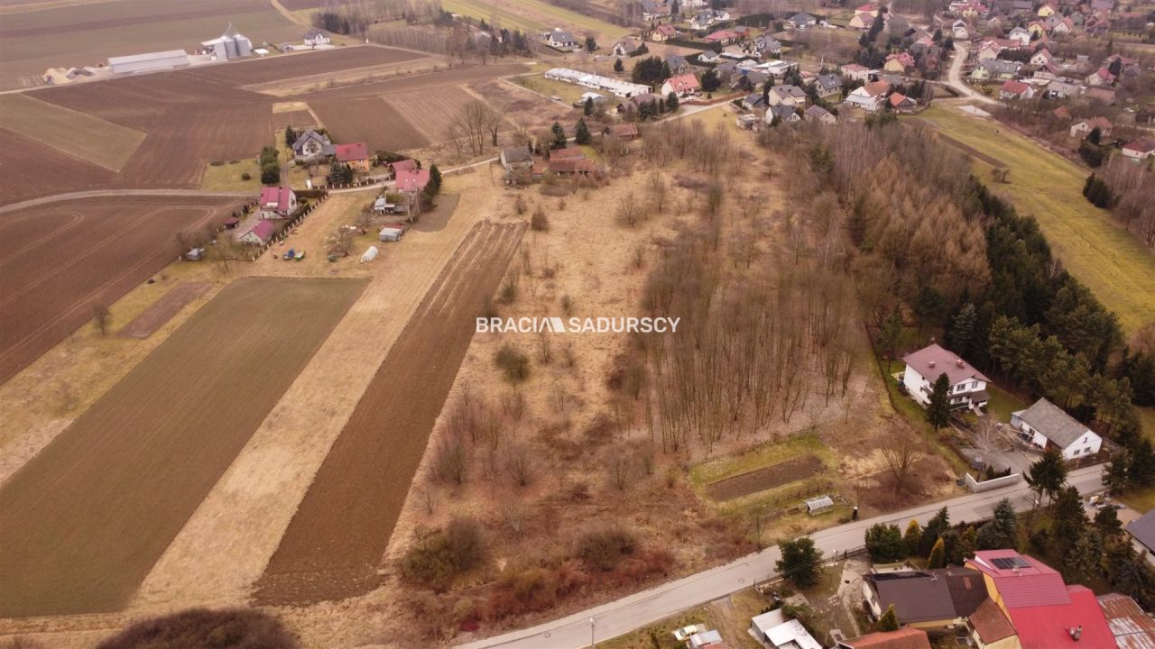 Działka rolno-budowlana Wołowice. Zdjęcie 6