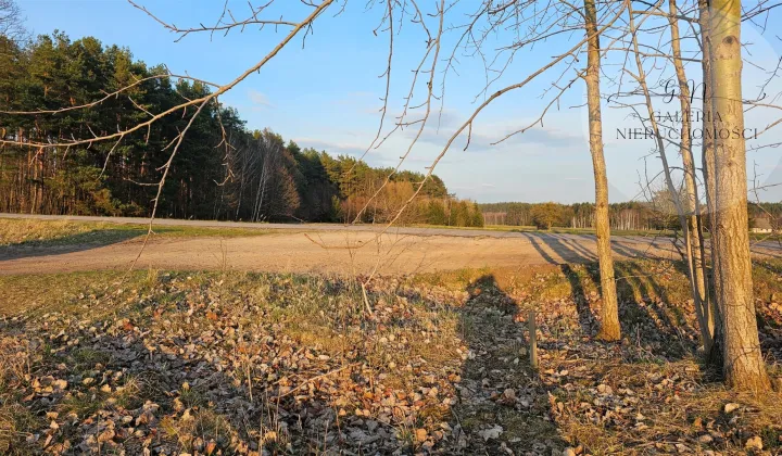 Działka rekreacyjna Nowa Wieś