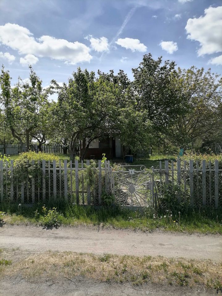 Działka rod Toruń, ul. Olsztyńska. Zdjęcie 6