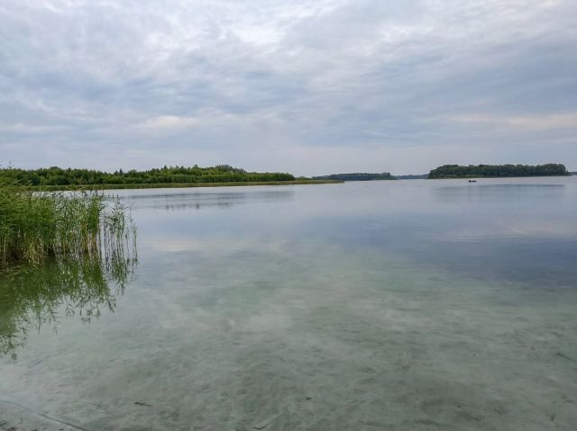 Działka budowlana Powidz Ługi. Zdjęcie 11