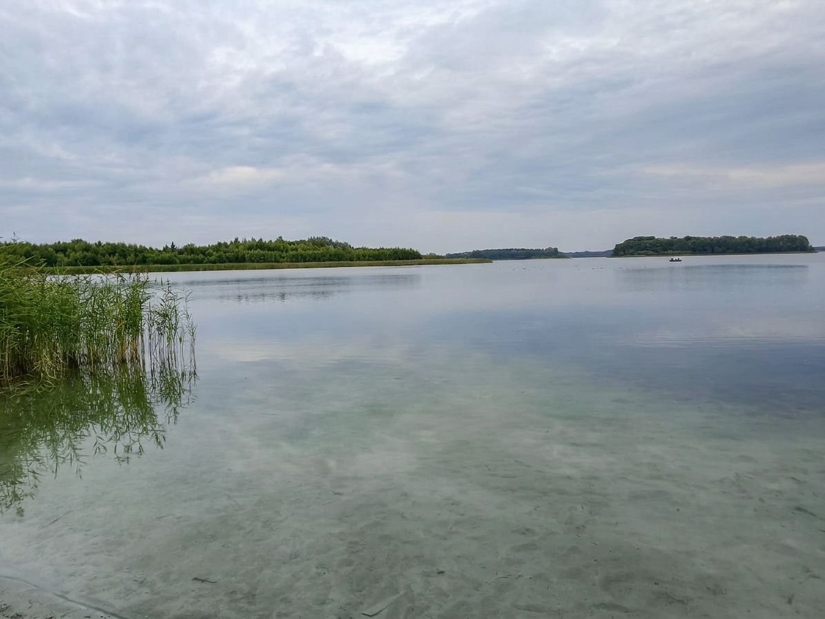 Działka budowlana Powidz Ługi. Zdjęcie 11