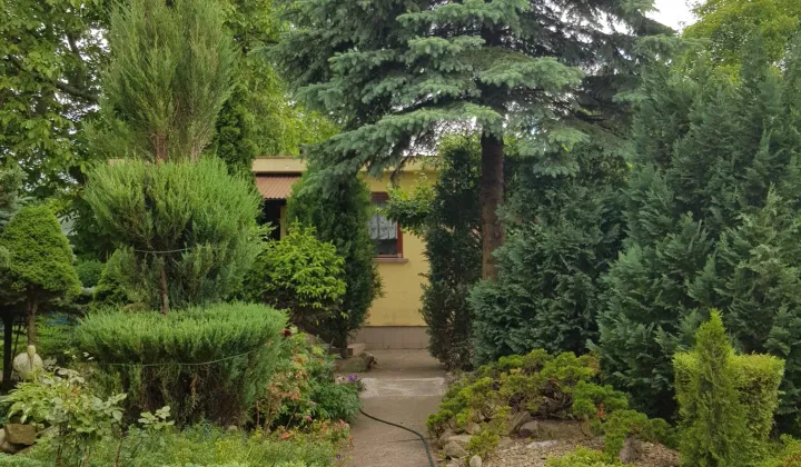 Działka rod Tczew, ul. Targowa