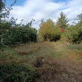 Działka rekreacyjna Warszawa Paluch, ul. Ogrodników. Zdjęcie 1