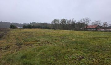 Działka siedliskowa Rożnowice