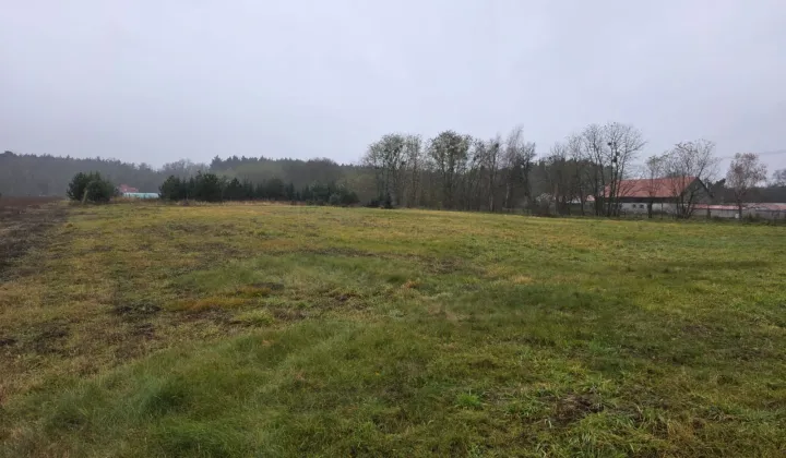 Działka siedliskowa Rożnowice