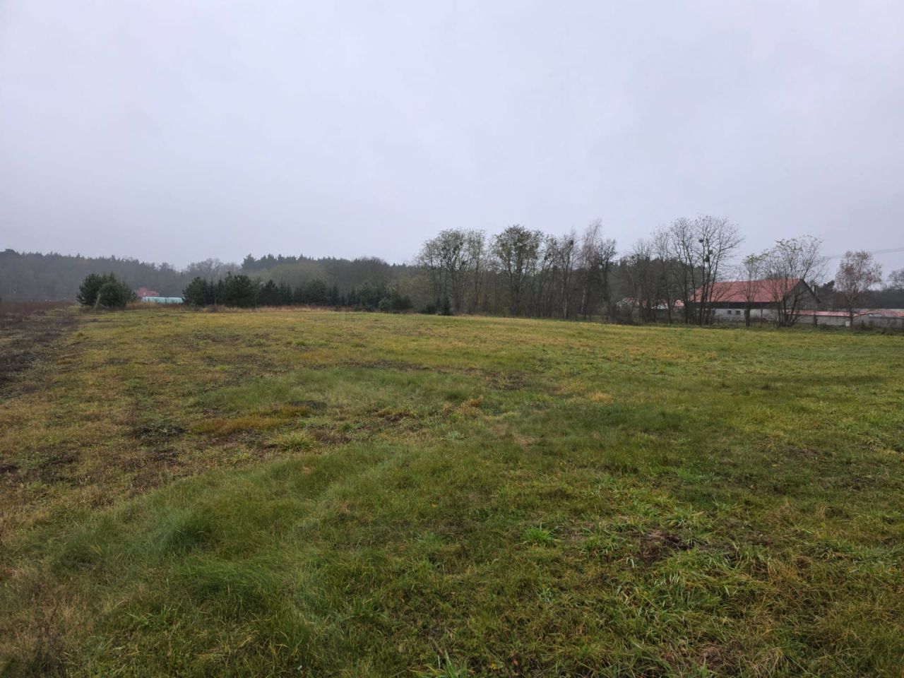 Działka siedliskowa Rożnowice