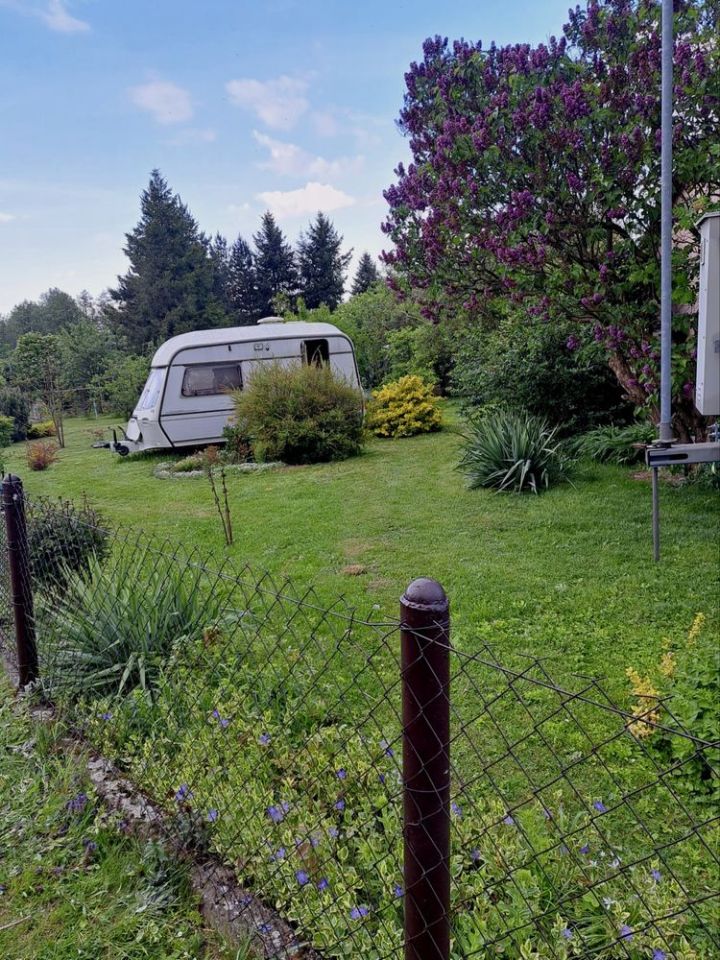 Działka rod Złoty Stok. Zdjęcie 7