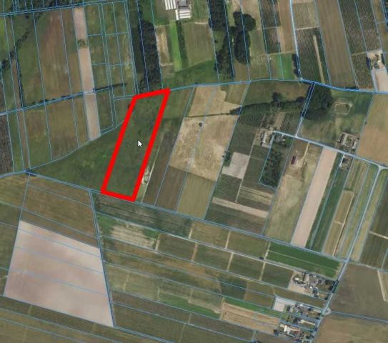 Działka rolna Falęcin. Zdjęcie 1