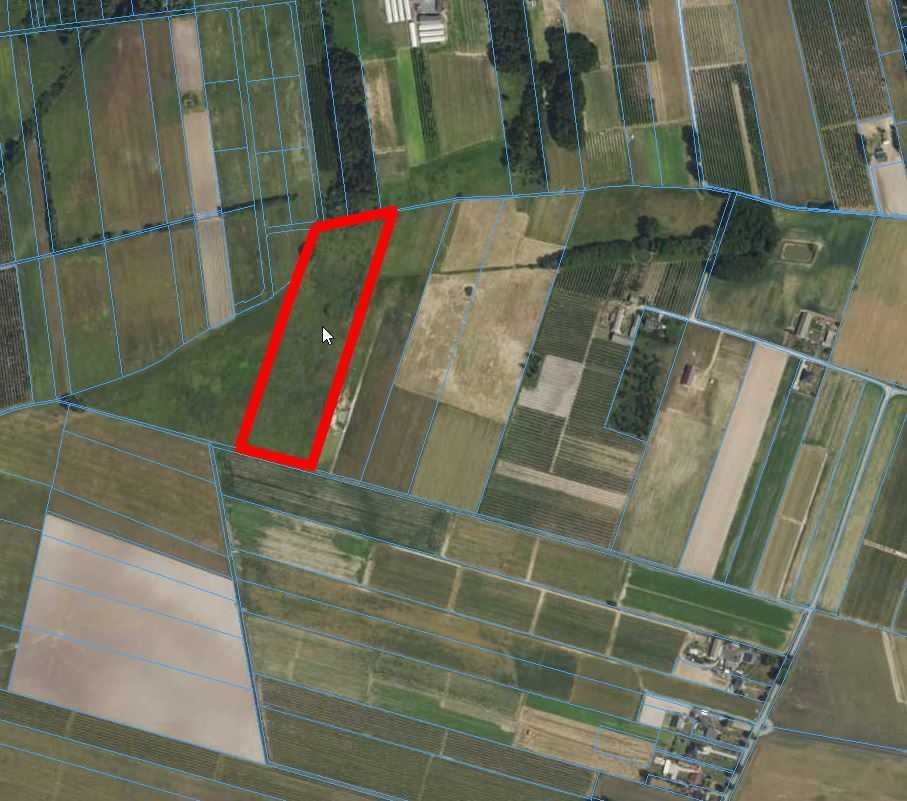 Działka rolna Falęcin. Zdjęcie 1