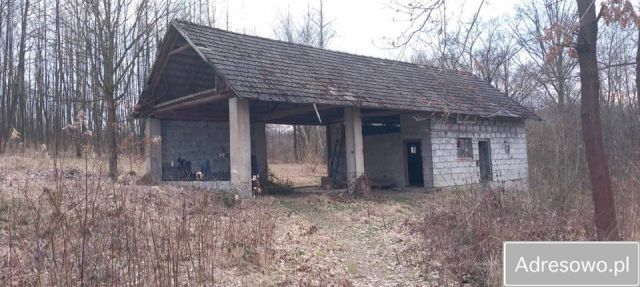 Działka budowlana Dębowa. Zdjęcie 1