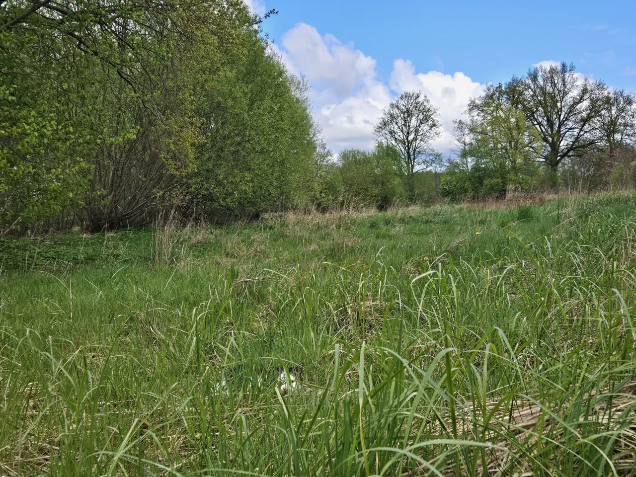 Działka budowlana Czarnkowo. Zdjęcie 16