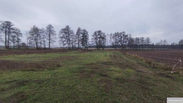 Działka budowlana Wygoda. Zdjęcie 1