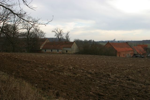 Działka siedliskowa Rogów Wołowski. Zdjęcie 5