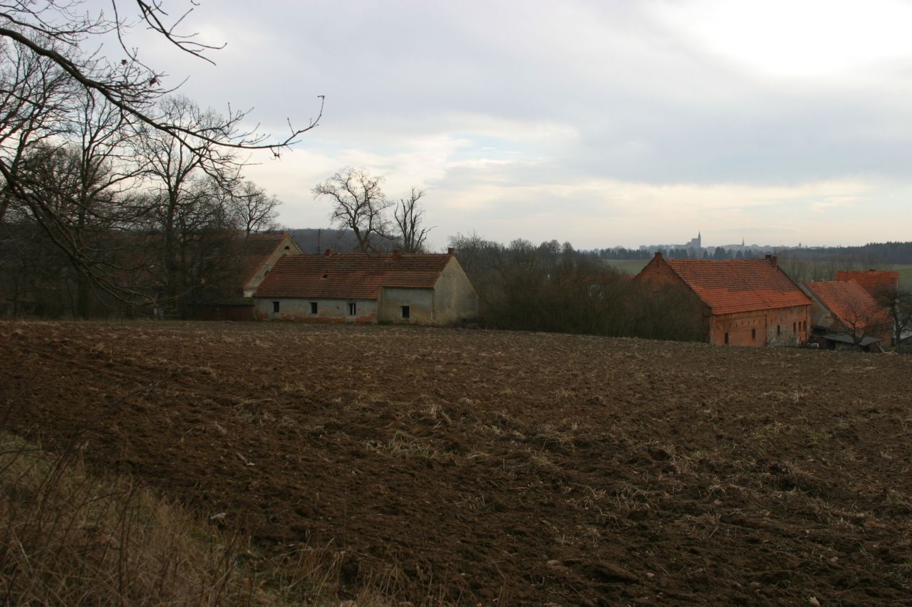 Działka siedliskowa Rogów Wołowski. Zdjęcie 5
