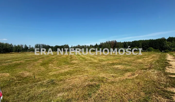 Działka budowlana Rogowo-Kolonia