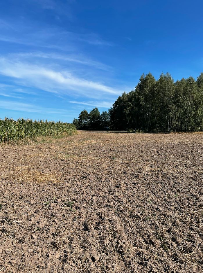 Działka rekreacyjna Złotniki. Zdjęcie 3