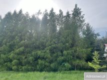 Działka siedliskowa Stary Bazanów. Zdjęcie 3