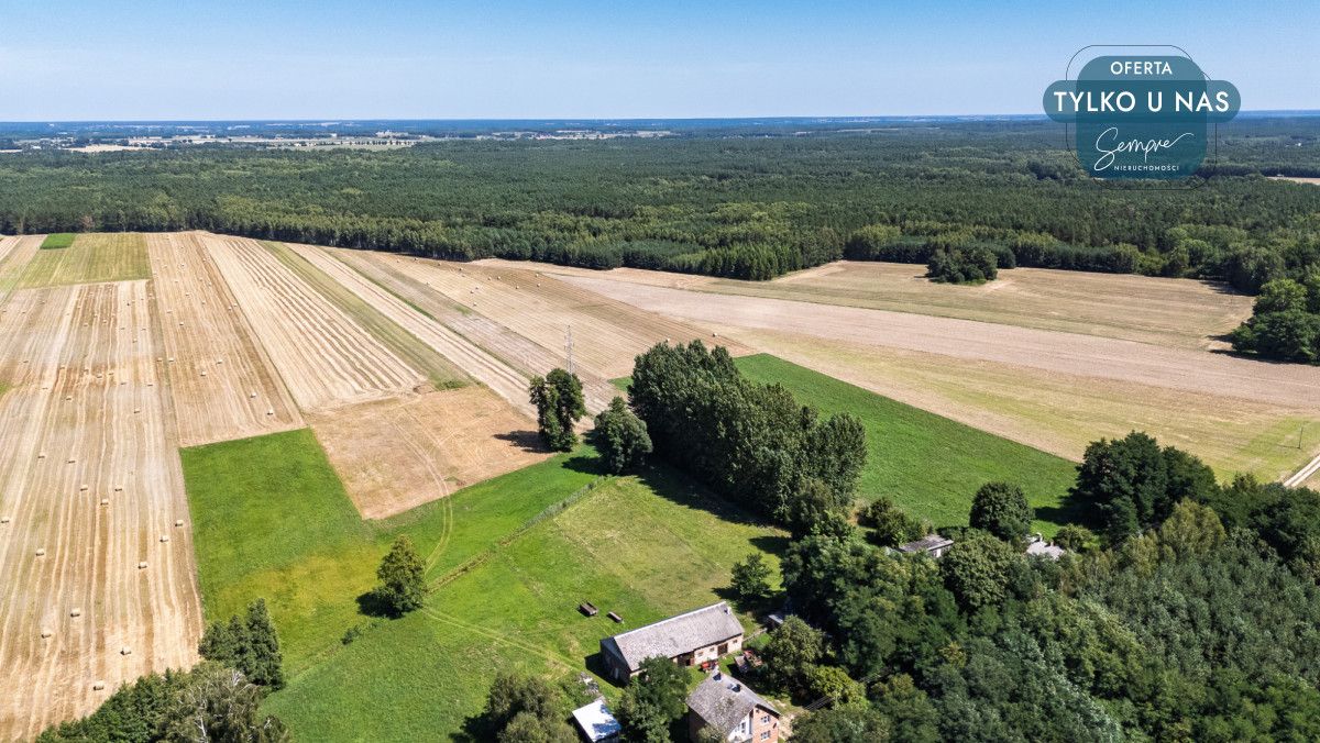 Działka siedliskowa Stefanów Ruszkowski. Zdjęcie 10
