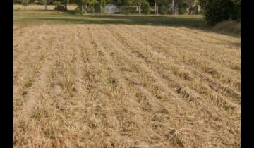 Działka budowlana Wróblowa