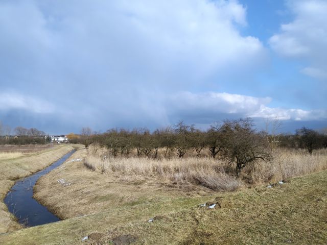 Działka rolno-budowlana Nadbrzeż, Wiślana. Zdjęcie 7