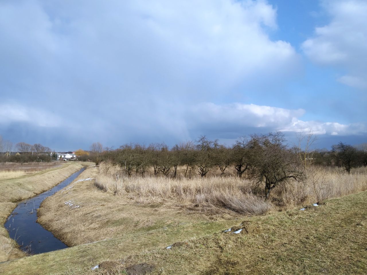 Działka rolno-budowlana Nadbrzeż, Wiślana. Zdjęcie 7