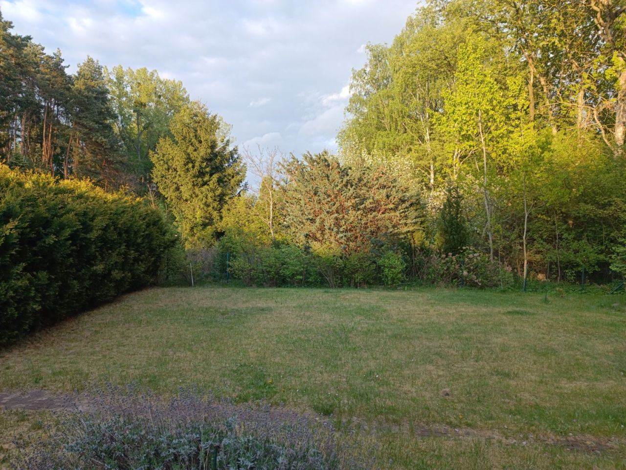 Działka rod Łódź Polesie. Zdjęcie 4