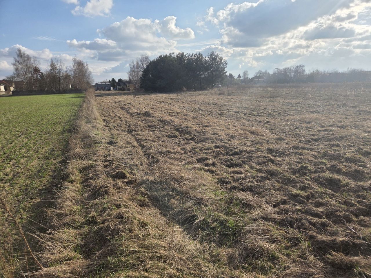 Działka budowlana Płochocin. Zdjęcie 6