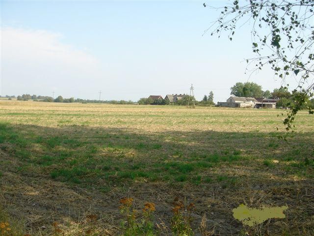 Działka rolna Małociechowo. Zdjęcie 1