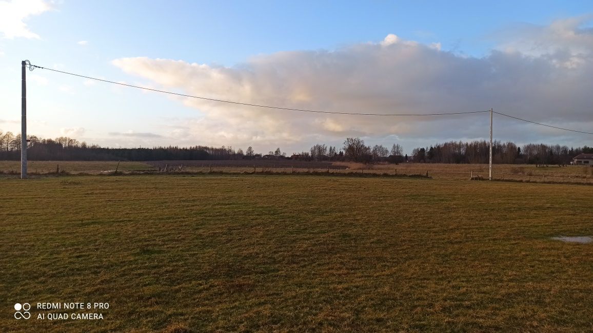 Działka budowlana Rogity. Zdjęcie 2