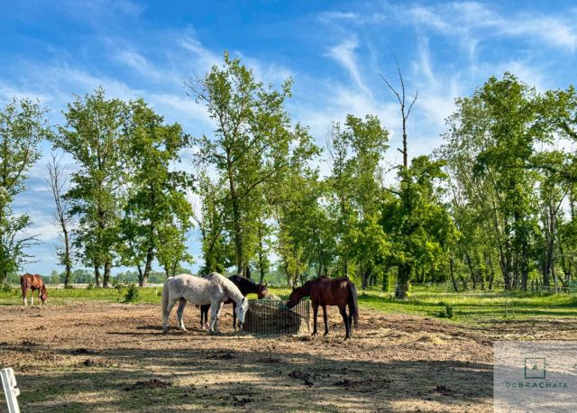 dom wolnostojący, 8 pokoi Podłęcze. Zdjęcie 29