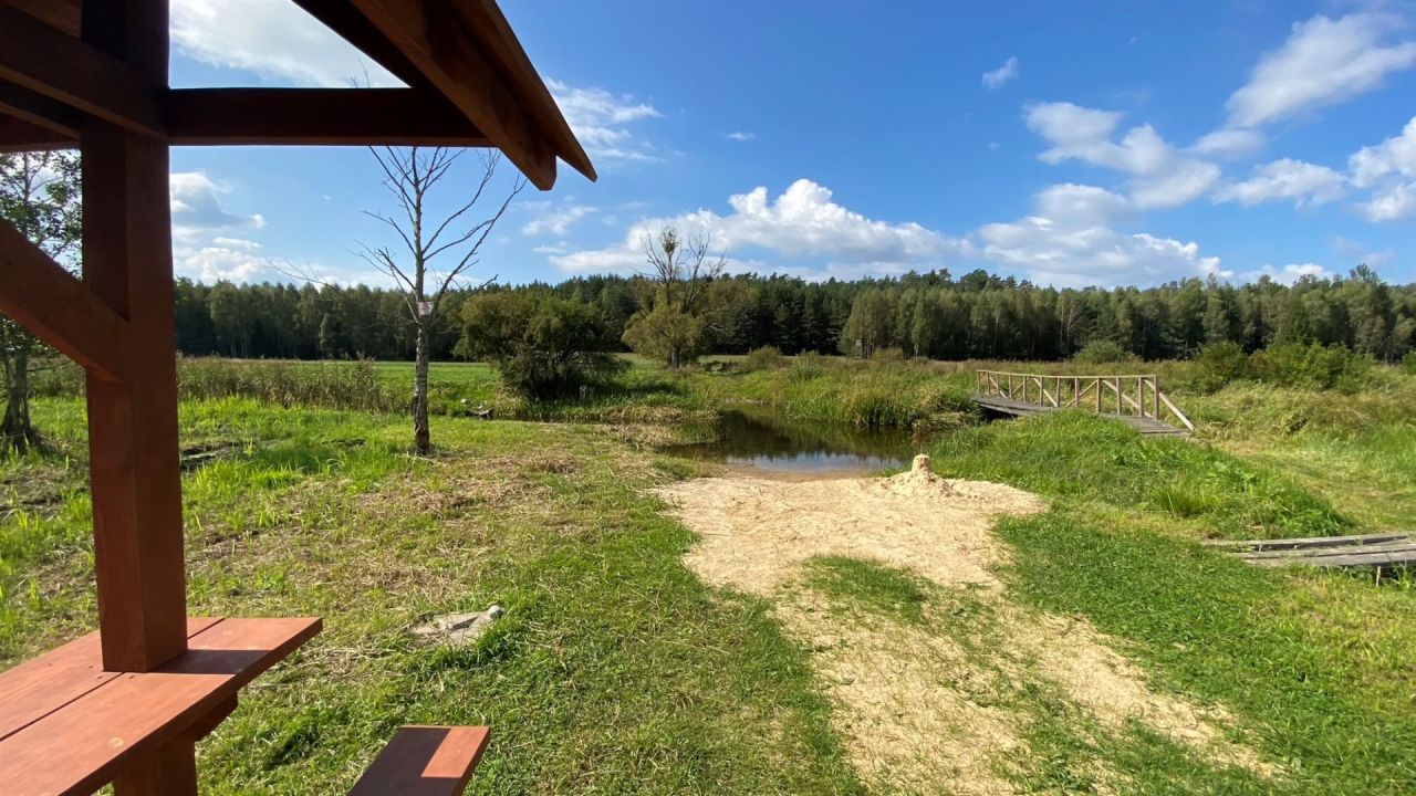 Działka rolna Kołodno. Zdjęcie 5