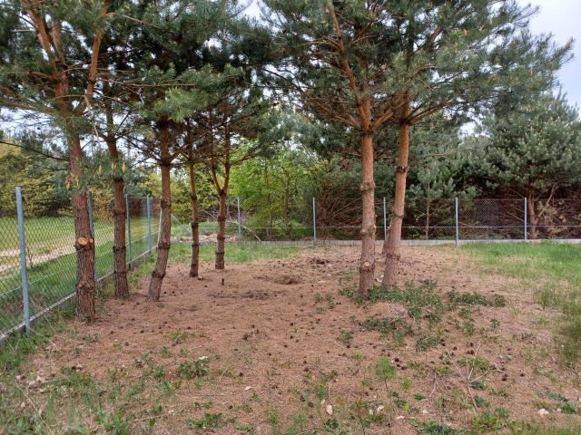 Działka rekreacyjna Borkowo, Brak. Zdjęcie 1