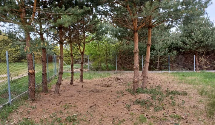 Działka rekreacyjna Borkowo, Brak