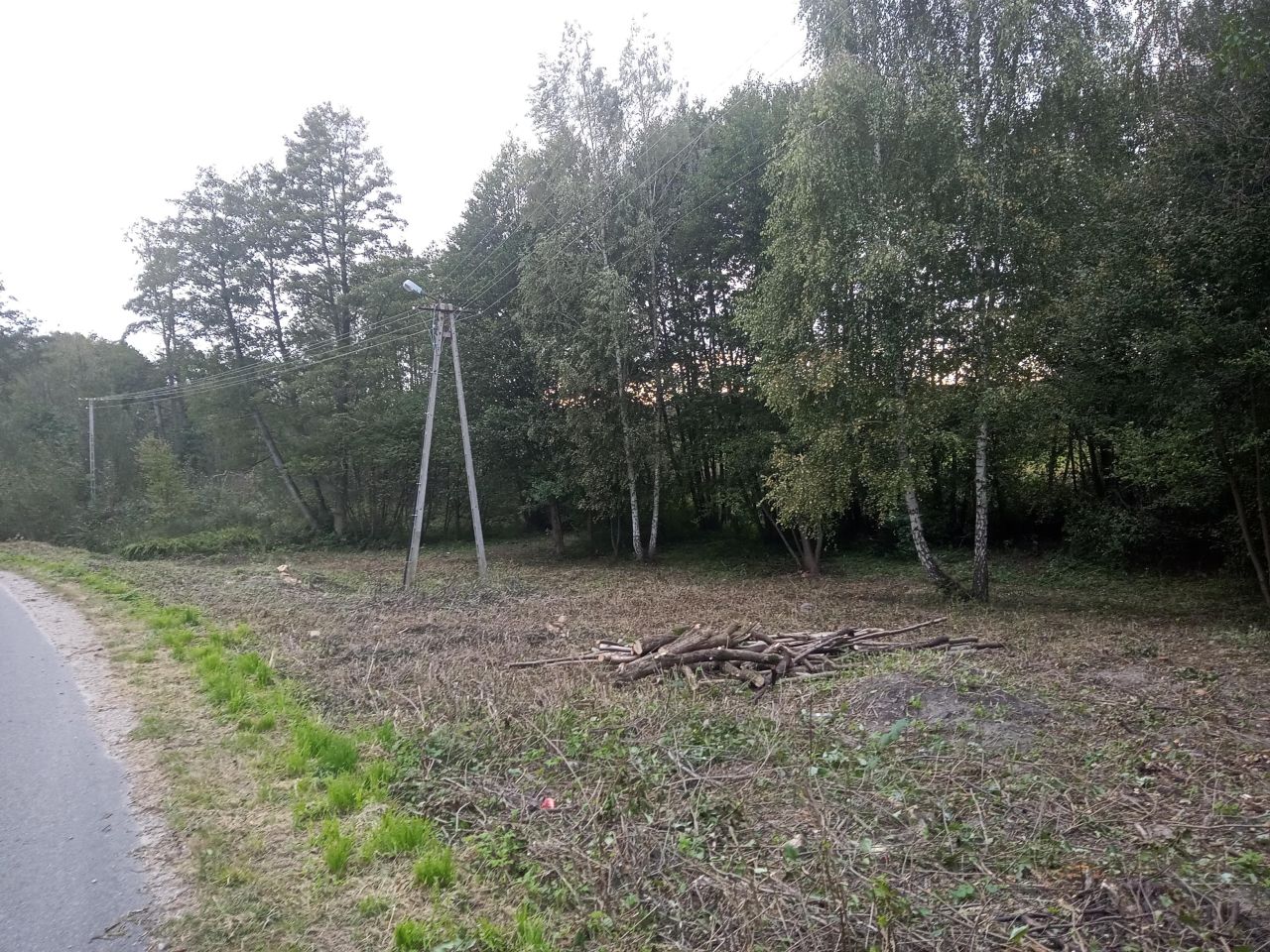 Działka rolno-budowlana Pasieka Wałowska. Zdjęcie 2