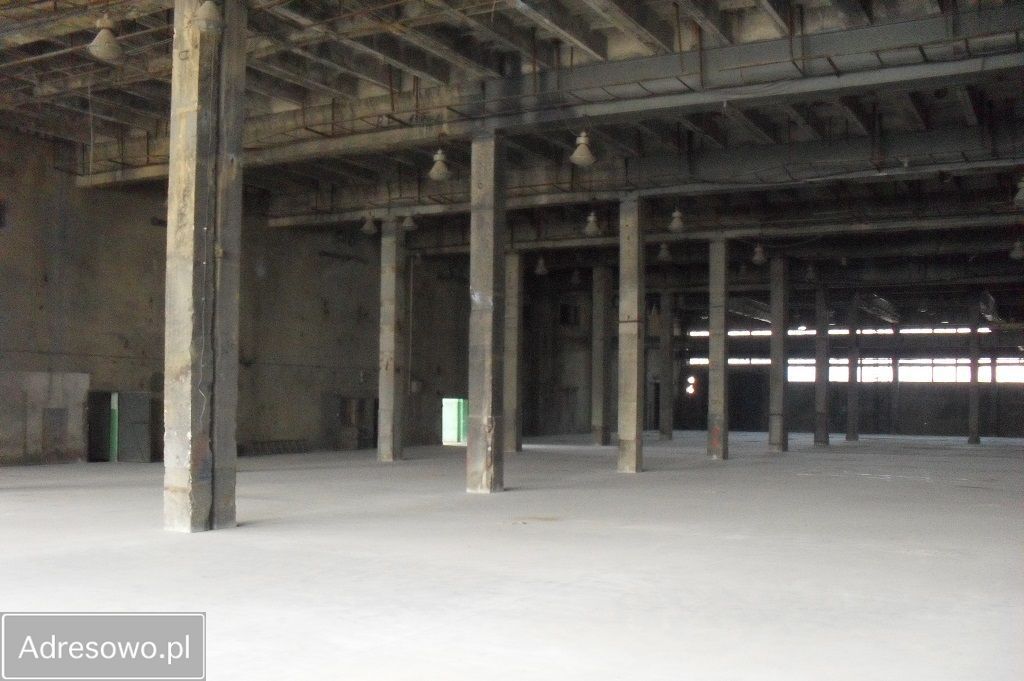 Hala/magazyn Trzebinia. Zdjęcie 6