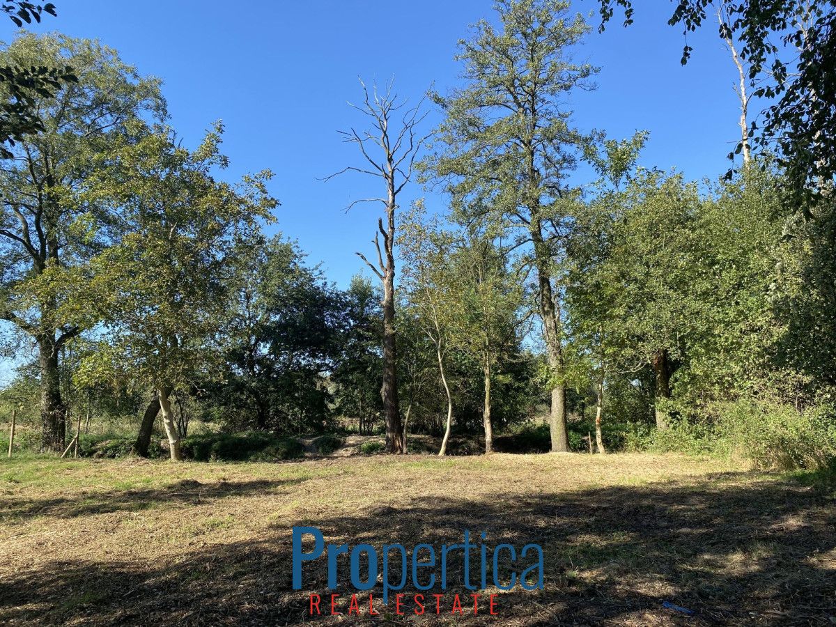 Działka budowlana Nowa Wieś, ul. Wandy. Zdjęcie 11