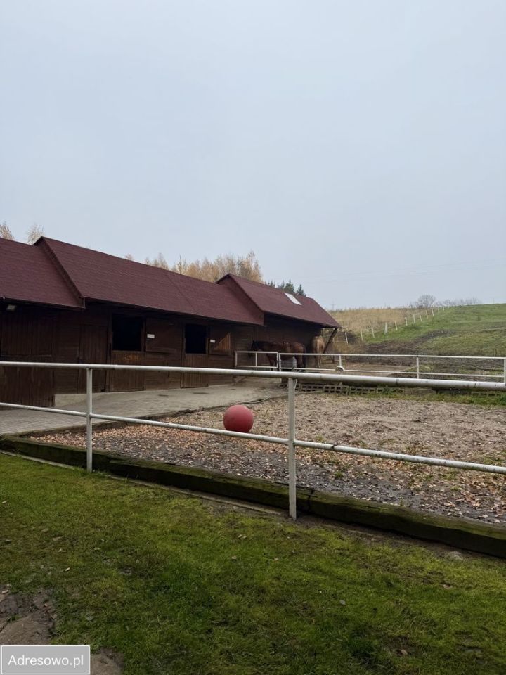 dom wolnostojący Strzelin. Zdjęcie 3