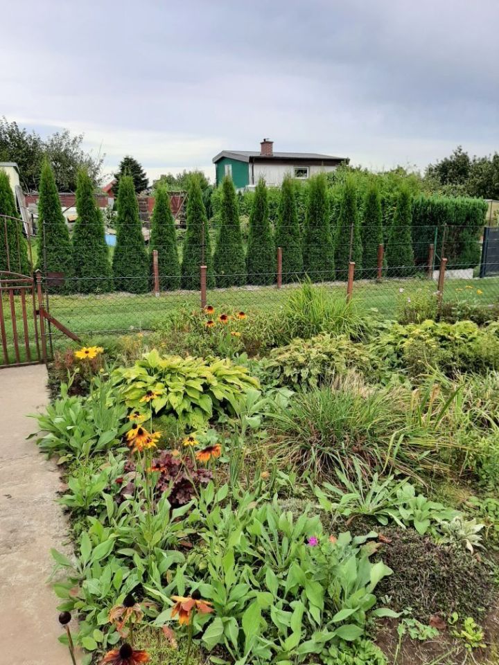 Działka rod Koszalin. Zdjęcie 2