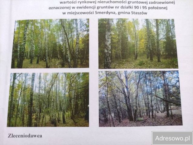 Działka rolna Smerdyna. Zdjęcie 1