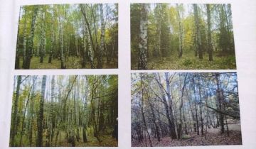 Działka rolna Smerdyna