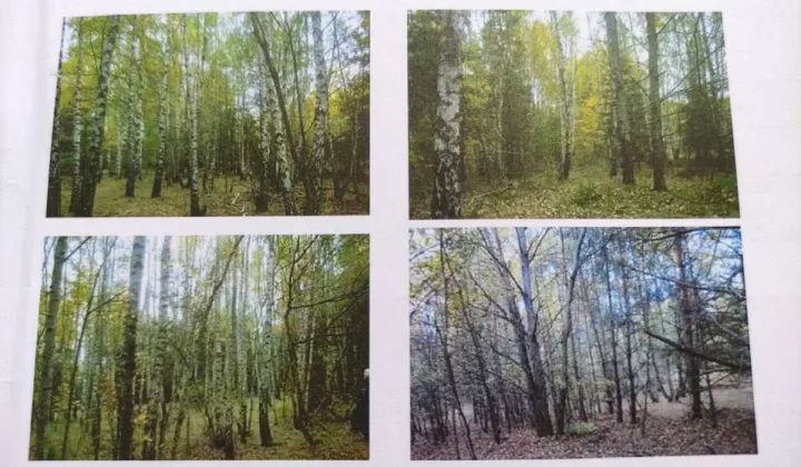 Działka rolna Smerdyna