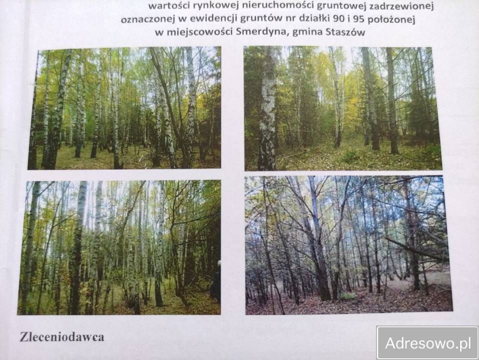 Działka rolna Smerdyna