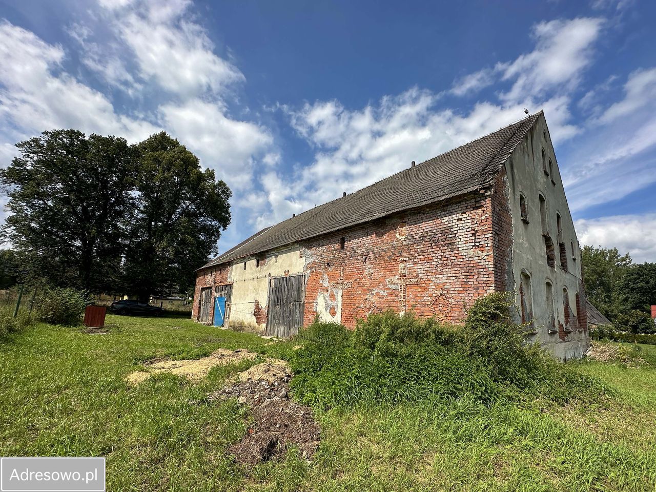 Działka rolna Miszkowice