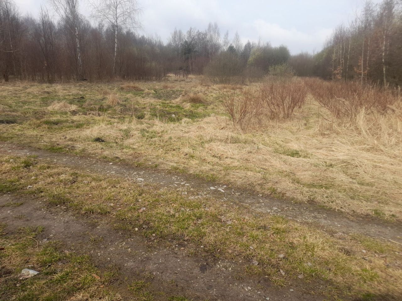 Działka Kozłowiec. Zdjęcie 2