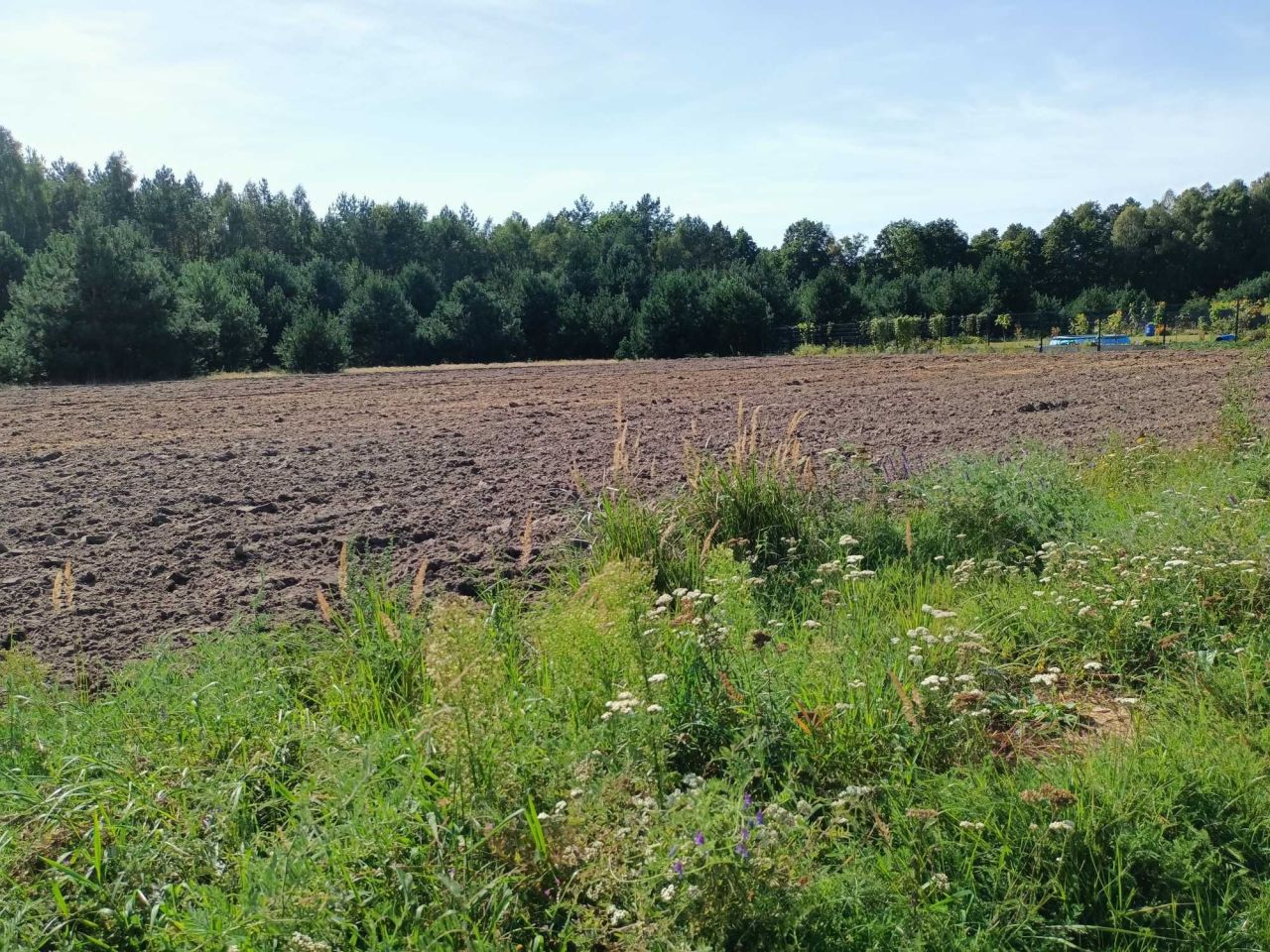 Działka Hipolitów. Zdjęcie 6