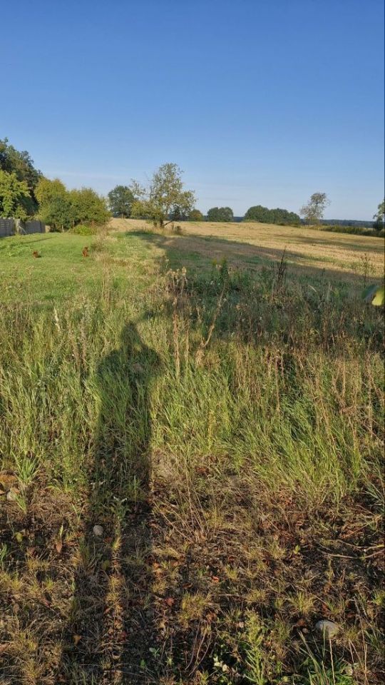 Działka rolno-budowlana Lubieniów. Zdjęcie 2