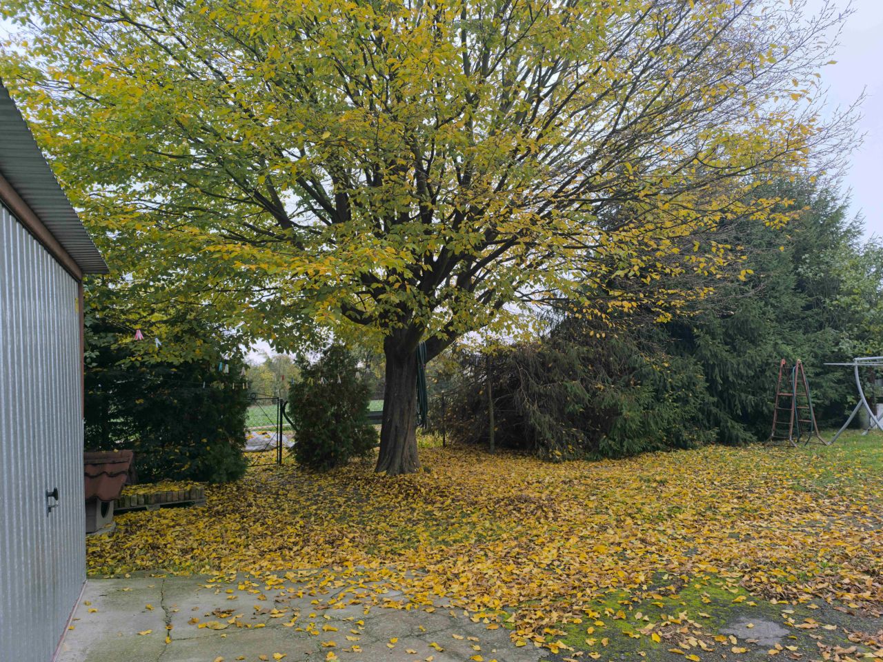 dom wolnostojący, 2 pokoje Świerszczów. Zdjęcie 19